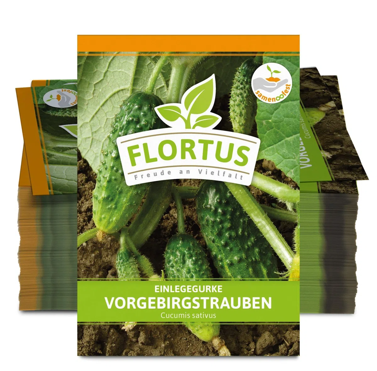 FLORTUS 2000-0484-100x Einlegegurke Vorgebirgstrauben (100 Stück) (Einlegegurkensamen)