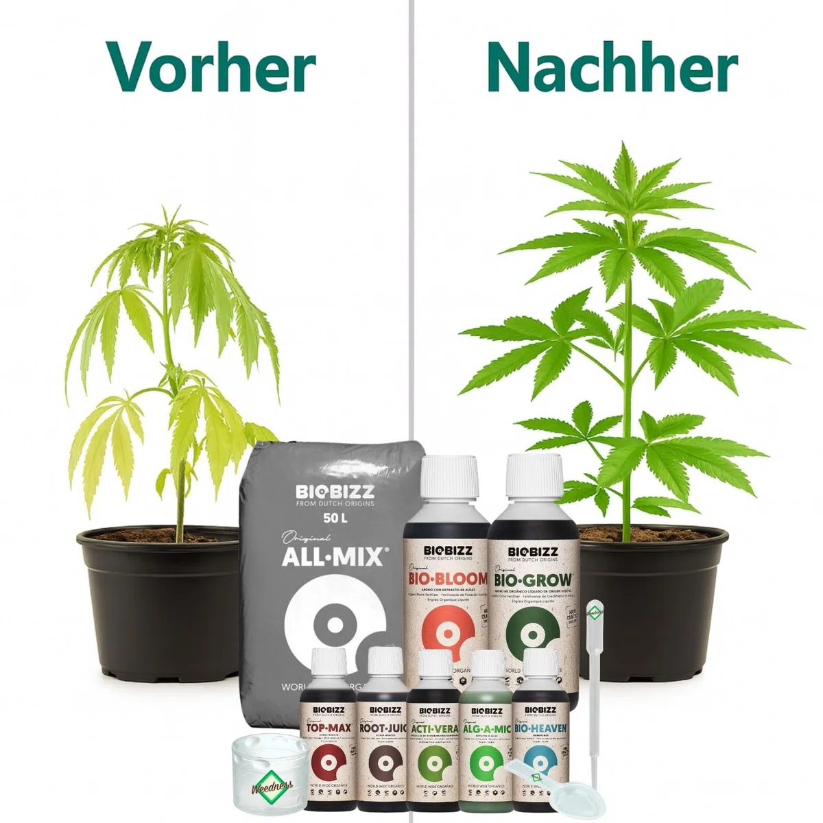 Weedness BioBizz All-Mix 50 Liter + Dünger Big - Blumenerde Grow Indoor Outdoor Bonsai Balkon-Pflanzen Palmen Bio Kokos