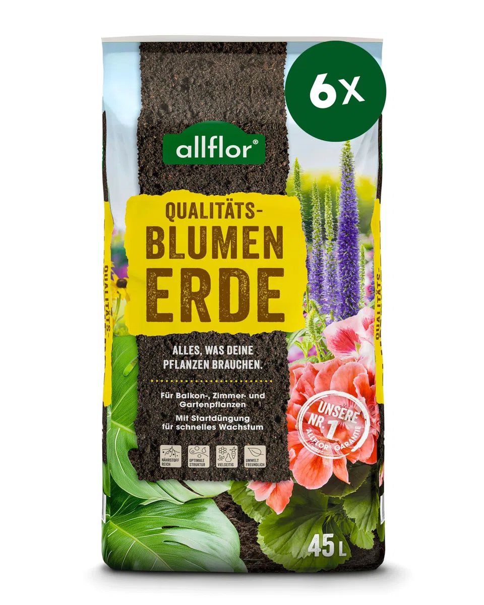 Allflor Blumenerde 6 x 45 L I gebrauchsfertige Universalerde I hochwertige Erde im 45 Liter Beutel I Für alle Balkon- und Zimmerpflanzen geeignet I Enthält alle wichtigen Pflanzennährstoffe