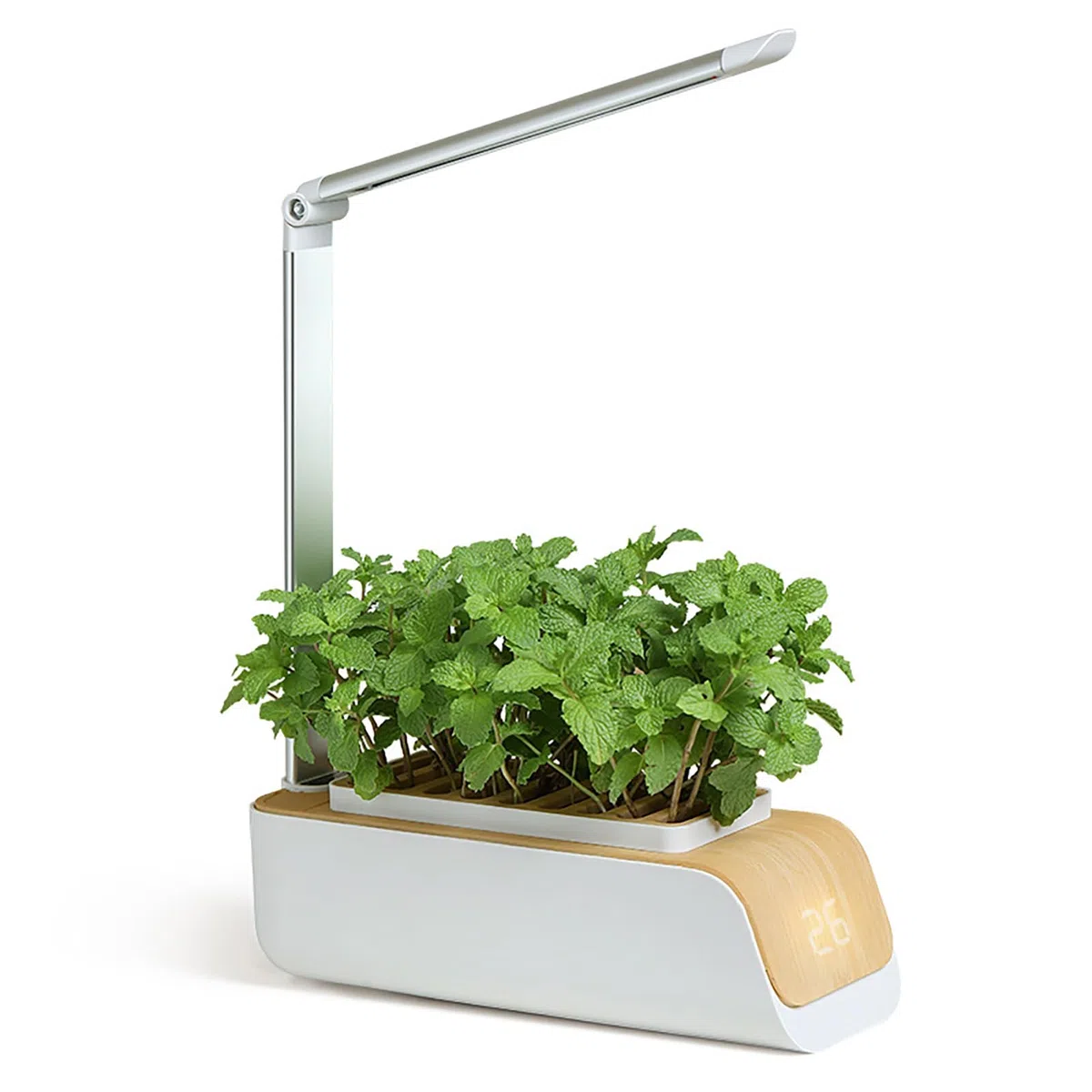 Hydrokultur-Gemüsesamen-Starter-Set für den Innenbereich, mit LED-Wachstumslichtern – leises System für einfaches Kräuter- und Grünanbau zu Hause