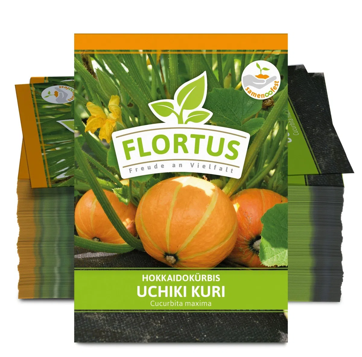 FLORTUS 2000-0476-100x Hokkaidokürbis Uchiki Kuri (100 Stück) (Hokkaidokürbissamen)