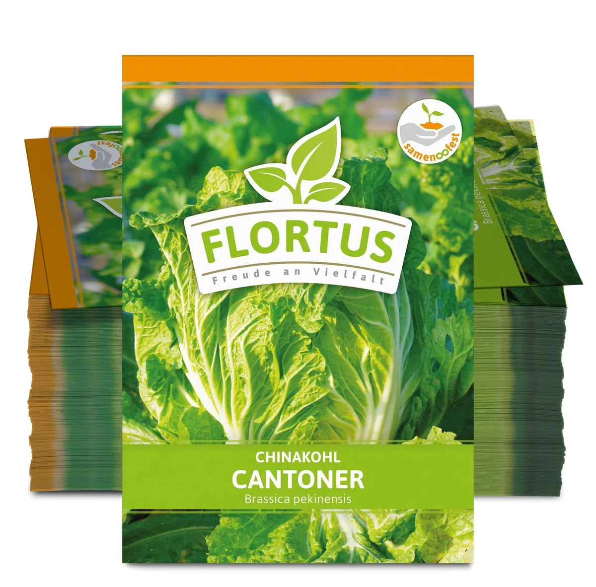 FLORTUS 2000-0488-100x Chinakohl Cantoner (100 Stück) (Chinakohlsamen)
