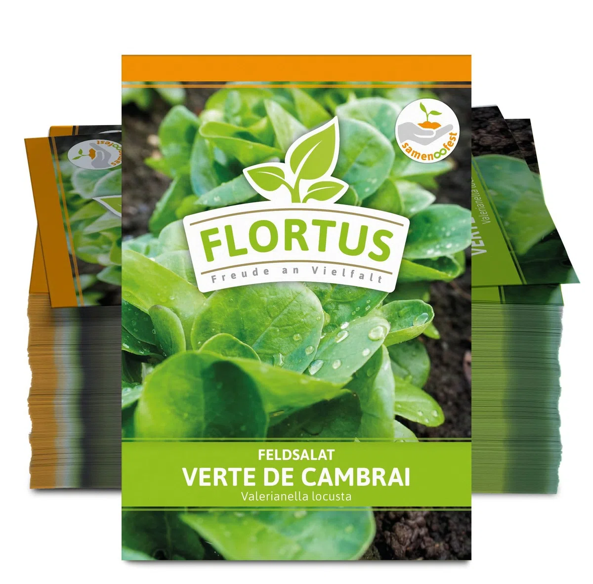 FLORTUS 2000-0480-100x Feldsalat Verte de Cambrai (100 Stück) (Feldsalatsamen)