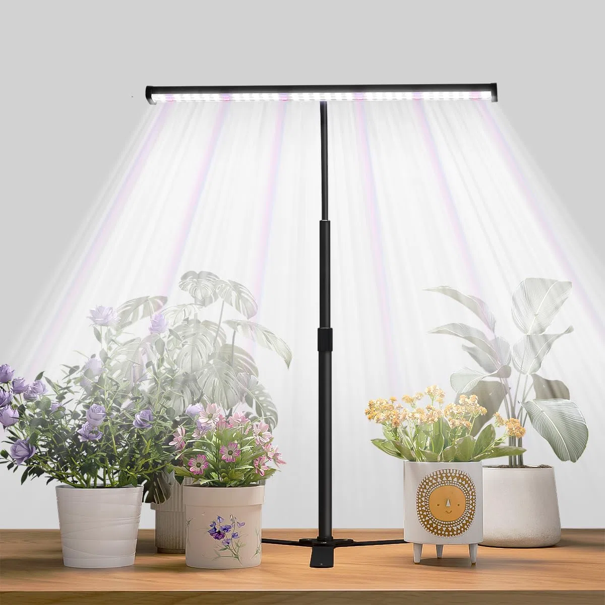LED-Wachstumslicht, 6000 K, Vollspektrum, Schwanenhals, Pflanzenlicht für Zimmerpflanzen mit Timer, 4/8/12 Stunden, dimmbar für kleine Zimmerpflanzen, höhenausziehbar 30,5 - 40,6 cm