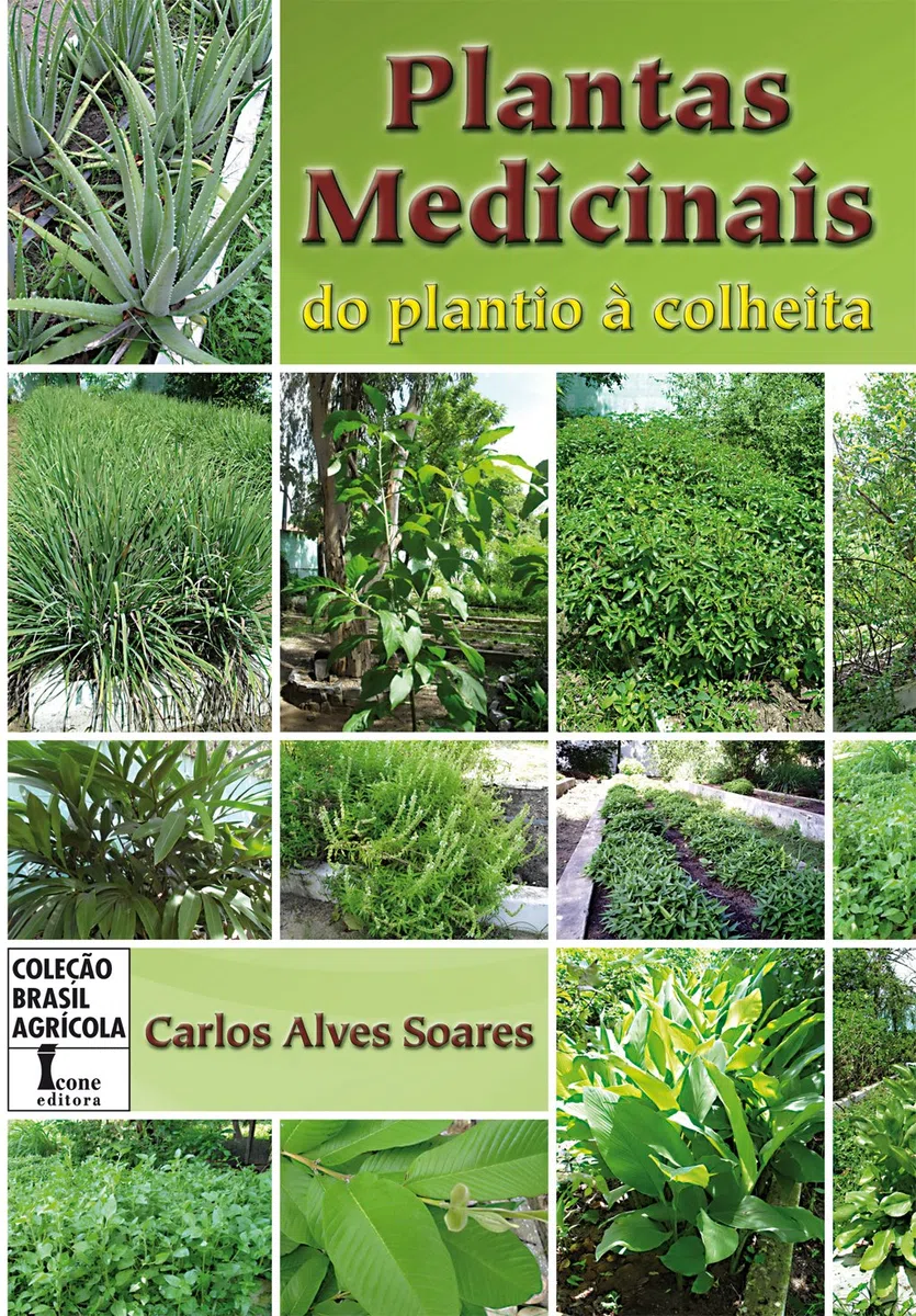 Plantas Medicinais. Do Plantio à Colheita (Em Portuguese do Brasil)
