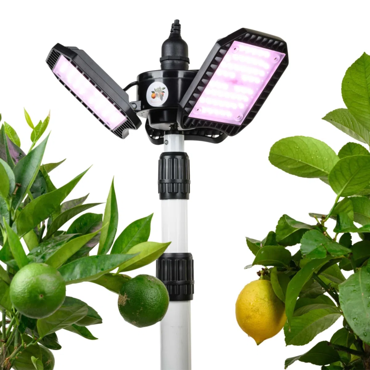 Meine Orangerie - LED-Pflanzenlampe FLEX [60W] - Vollspektrum LED Pflanzenleuchte zur Überwinterung von mediterranen Pflanzen - Entwickelt mit den Zitruspflanzen-Profis (LED Lampe mit Stativ)