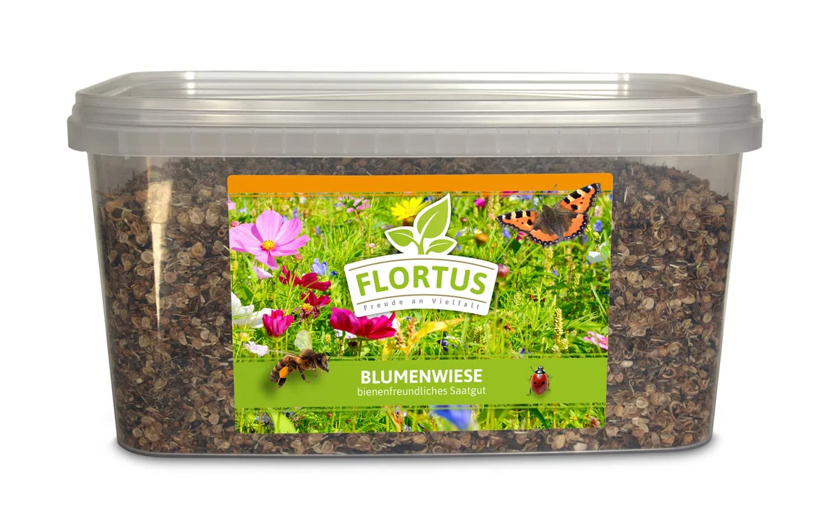 FLORTUS – Blumenwiese Saatgut für Bienen, Hummeln & Schmetterlinge – 10 Liter Eimer Wildblumenwiese Samen für 1.000-2.000 m² – bunte Wildblumensamen Mischung für eine insektenfreundliche Blumenwiese