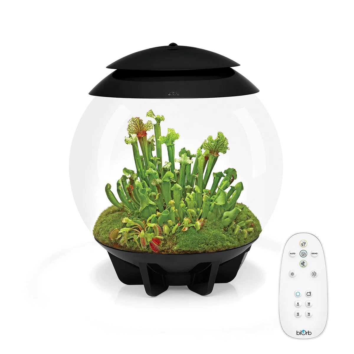 biOrb 72558 AIR 30 schwarz - Terrarium mit LED-Beleuchtung, Acryl-Becken zur Pflanzenpflege, für empfindliche und exotische Pflanzen