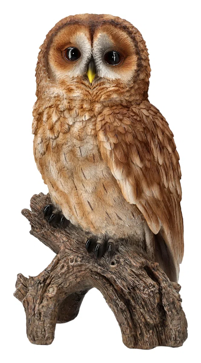 Figuren Shop GmbH Naturgetreue Eulen Gartenfigur: Großer Waldkauz 31 cm - HotAnt, Wetterfeste Deko