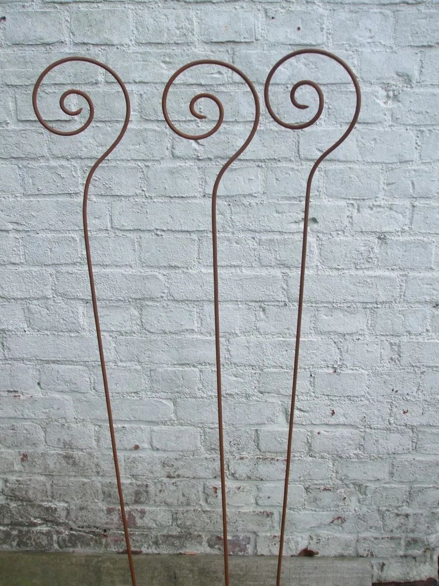 3 Stück, Gartenstab Schnecke, Rankstab, Rosenstab, Rost,150 cm, Eisen