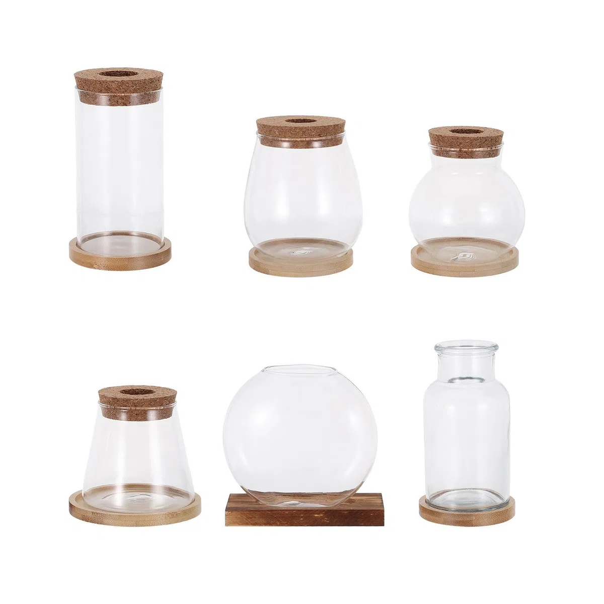 Kisangel 6er-Set Hydroponik-Pflanzgefäße, Glasgefäße zur Pflanzenanzucht, Tisch-Terrarien | Transparente Pflanzvase mit Deckel für Büropflanzen, Stecklinge, Moos, Mikro-Landschaftsbehälter