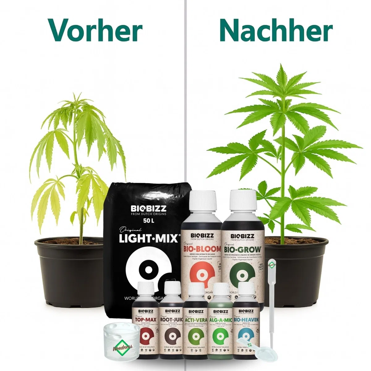 Weedness BioBizz Light-Mix 50 Liter + Dünger Big - Blumenerde Grow Indoor Outdoor Bonsai Balkon-Pflanzen Palmen Bio Kokos
